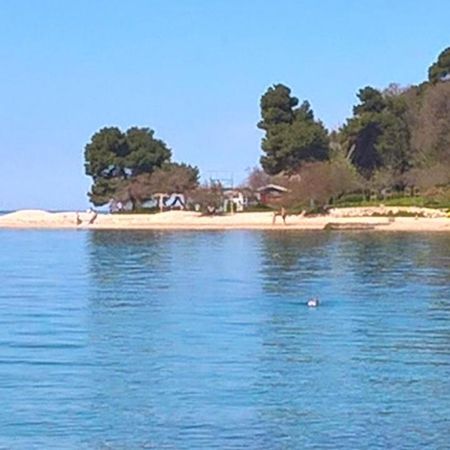 Apartment Tim Zadar Dış mekan fotoğraf
