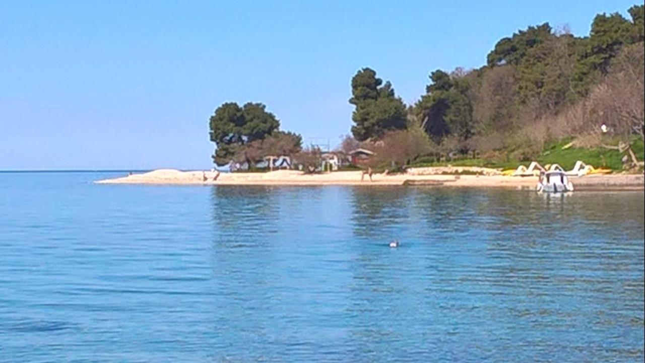 Apartment Tim Zadar Dış mekan fotoğraf